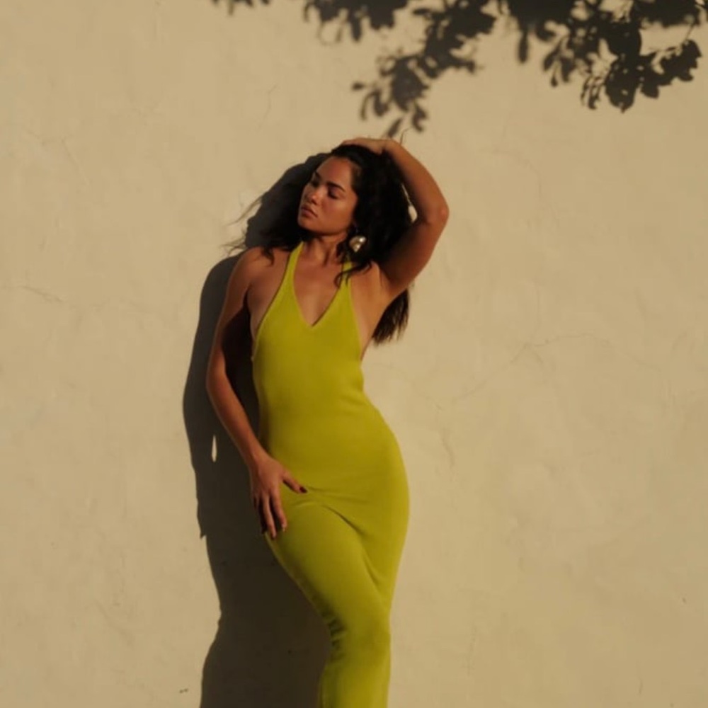 Shondel The Label Muse Dresse